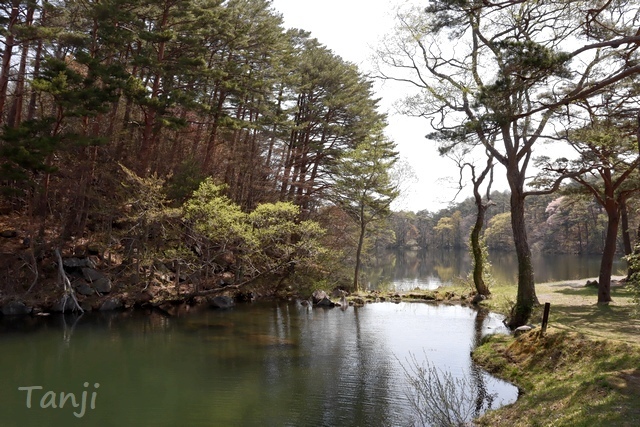02 96 五色沼、福島県、画像.jpg