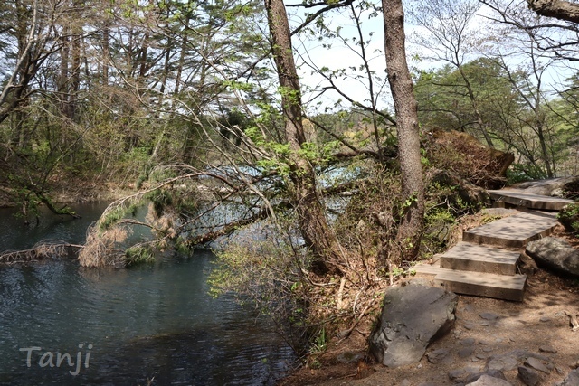 07 96 五色沼、福島県、画像.jpg