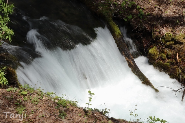 09 96 五色沼、福島県、画像.jpg