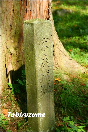 miyamori2001-thumbnail2.jpg