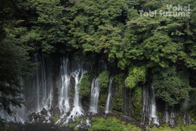 白糸の滝・静岡県富士宮市原・画像