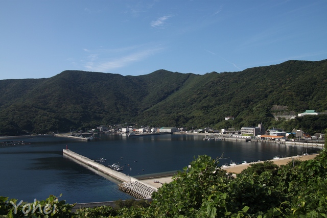 愛媛県南宇和郡愛南町・画像・与平旅すずめ ~デジカメ片手の旅ブログ~