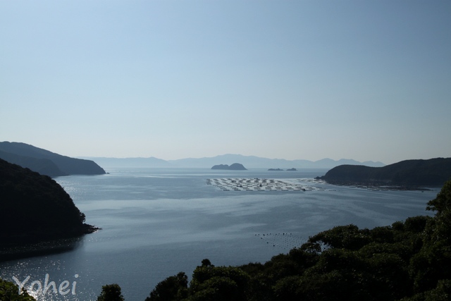 愛媛県南宇和郡愛南町・画像・与平旅すずめ ~デジカメ片手の旅ブログ~