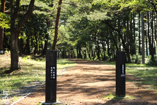 鵜ノ巣断崖・展望台・遊歩道・岩手県田野畑村・画像・旅すずめ・与平
