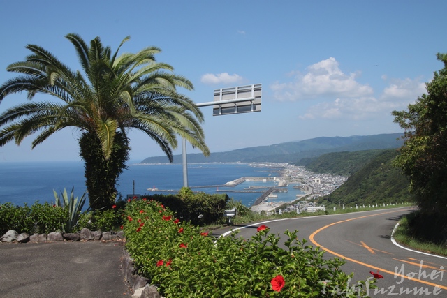 最御崎寺(ほつみさきじ)・高知県室戸市室戸岬町・四国八十八礼所第二十四番礼所・与平旅すずめ ~デジカメ片手の旅ブログ~