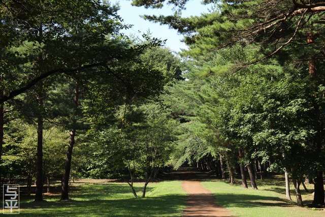鵜ノ巣断崖・展望台・遊歩道・岩手県田野畑村・画像・旅すずめ・与平