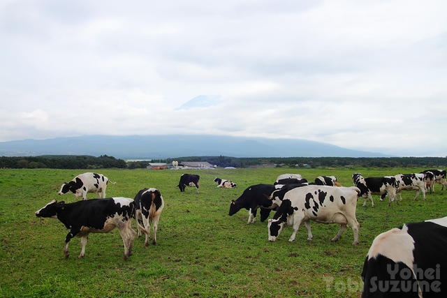 富士山・
