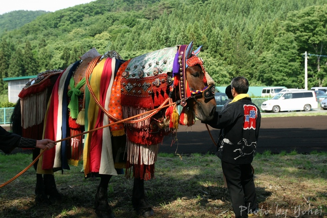 0906 13 05 02.jpg