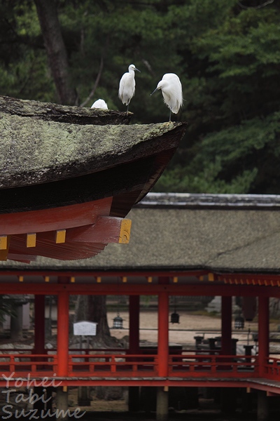 日本三景安芸の宮島・ 広島県廿日市市宮島町・画像・与平旅すずめ ~デジカメ片手の旅ブログ~
