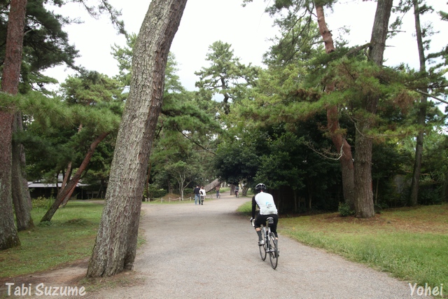 天橋立・日本三景・"Amanohashidate"・京都府宮津市・画像・与平