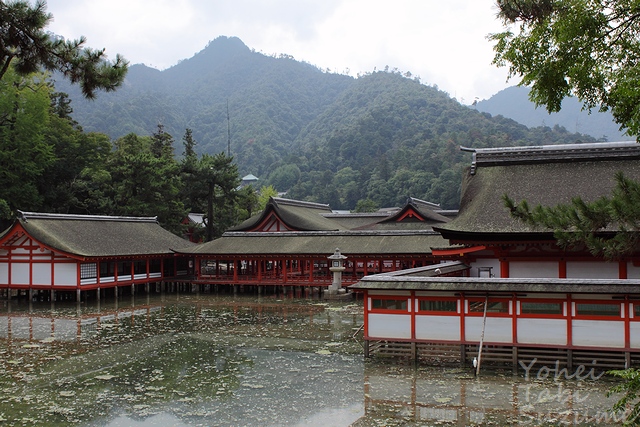日本三景安芸の宮島・ 広島県廿日市市宮島町・画像・与平旅すずめ ~デジカメ片手の旅ブログ~