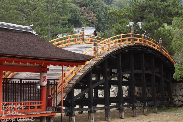 日本三景安芸の宮島・ 広島県廿日市市宮島町・画像・与平旅すずめ ~デジカメ片手の旅ブログ~