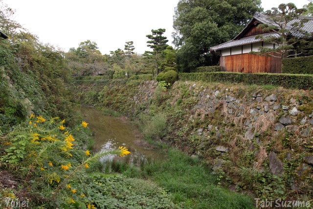 郡山城・大和国・奈良県大和郡山市・画像・旅すずめ・与平