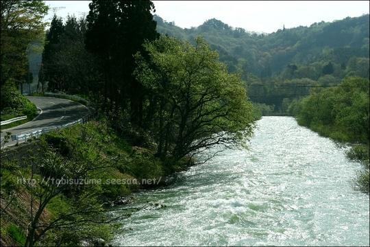 hasimoto2002-thumbnail2.jpg