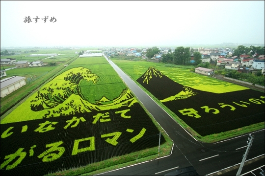 inaka2002-thumbnail2.jpg