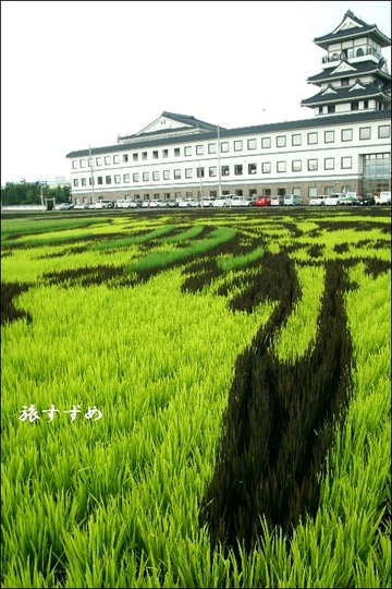 inaka2005-thumbnail2.jpg