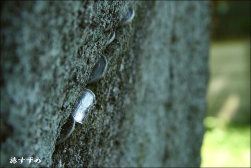 mituisi20001-thumbnail2.jpg