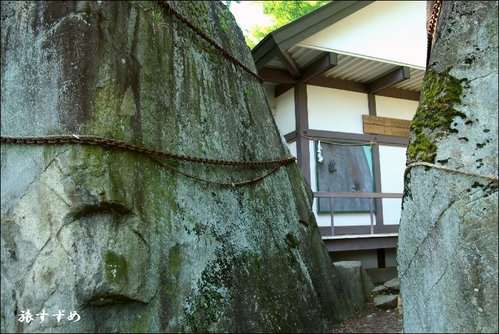 mituisi20102-thumbnail2.jpg