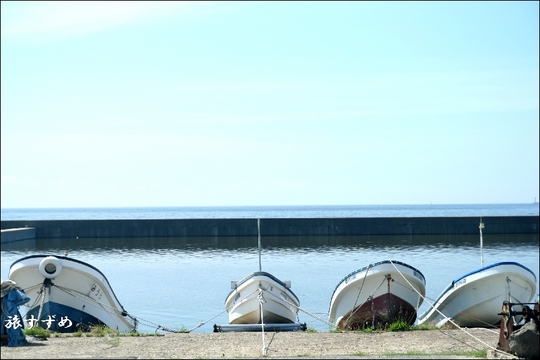 oga2005-thumbnail2.jpg