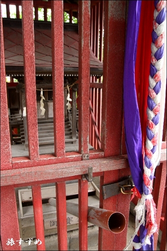 takamatu20102-thumbnail2.jpg